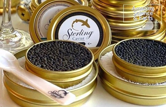 main-qimg-215b8e7d3332437511486305c1cc1be1